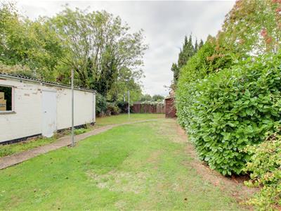 Picture 17